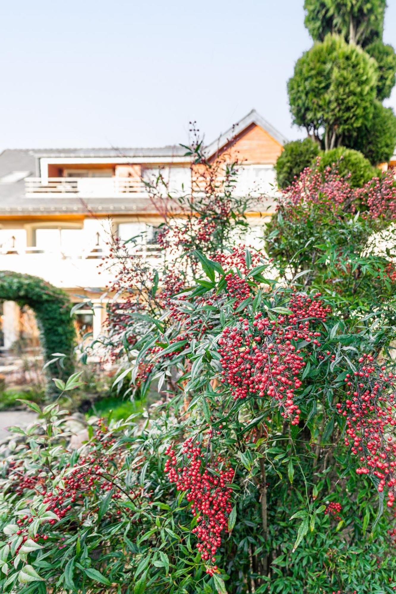 Logis L'Auberge - Maison Glenn Anna Sainte-Anne-d'Auray Exterior foto